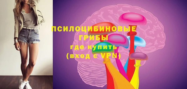 кокс Алексин