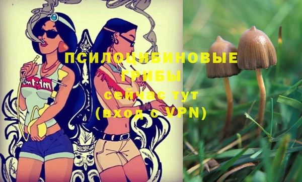 2c-b Алзамай