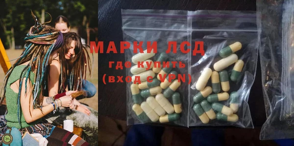 ПСИЛОЦИБИНОВЫЕ ГРИБЫ Ельня