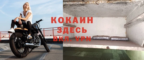 кокс Алексин