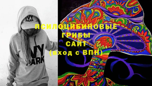 2c-b Алзамай