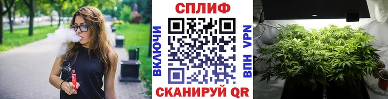 OMG ТОР Урай Каннабис гибрид